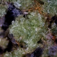 Obradovicite-NaNa