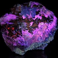 Carletonite, Pectolite
