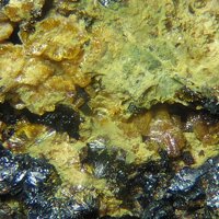 Jahnsite-(CaMnFe)
