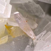 Iimoriite-(Y), Dolomite