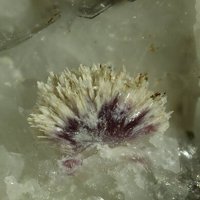 Cascandite