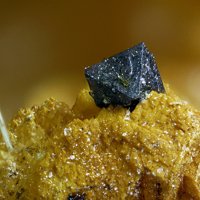 Vaesite, Jamborite