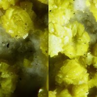 Carnotite