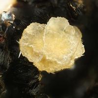 Bainbridgeite-(YCe)