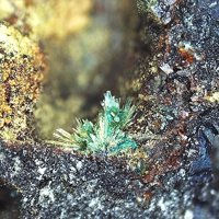 Palmierite, Slag