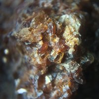 Ganophyllite