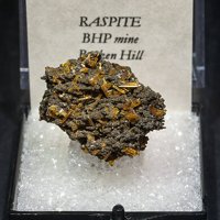 Raspite