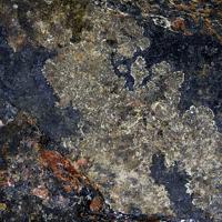 Akrochordite, Pyrochroite, Willemite