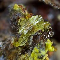 Bayleyite