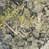Canavesite, Dypingite, Nesquehonite