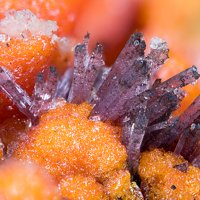 Gageite, Zincite, Willemite