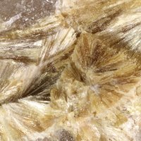 Carpholite