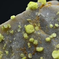 Carlhintzeite