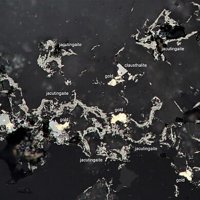 Jacutingaite, Clausthalite, Gold
