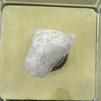 Nasonite