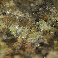 Sabugalite