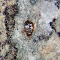 Barringerite, Schreibersite