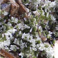 Talmessite, Cobaltaustinite