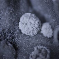 Tacharanite