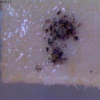 Carbokentbrooksite, Zirsilite-(Ce)
