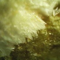 Uralolite