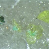 Eckhardite, Thorneite, Khinite