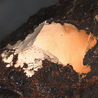 Kamarizaite