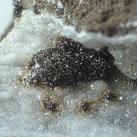 Ranciéite, Calcite