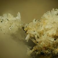 Calcioferrite