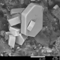 Caracolite