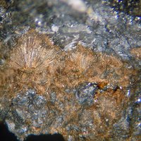Macfallite