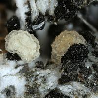 Bainbridgeite-(YCe)