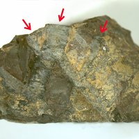 Taneyamalite