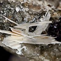 Bazhenovite