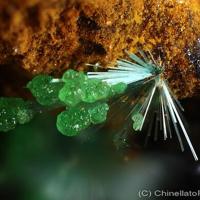 Agardite-(Nd), Conichalcite