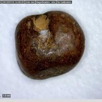 Bahianite