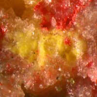 Idrialite, Cinnabar