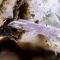 Cascandite