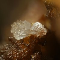 Rauenthalite