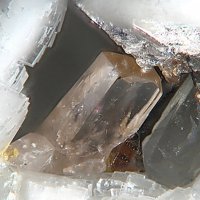 Iimoriite-(Y), Dolomite