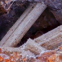 Kaliophilite
