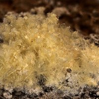 Rabbittite