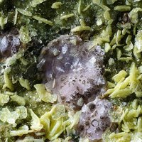 Maghrebite, Nováčekite, Zeunerite