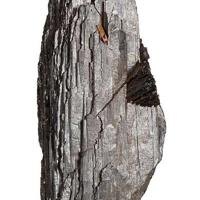 Bannisterite