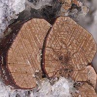 Osumilite