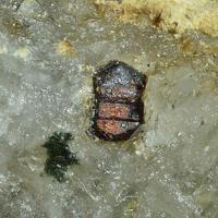Cafarsite