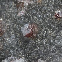 Galkhaite