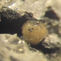 Fanfaniite