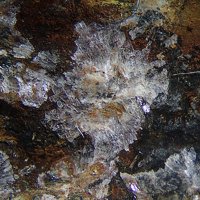 Lanthanite-(Ce), Actinolite, Ferriallanite-(Ce)
