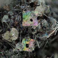 Åkermanite, Fluorapatite, Nepheline